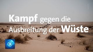 Grüne Mauer Afrikas Kampf gegen die Ausbreitung der Sahara [upl. by Sampson]