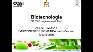 4BiotecAulaRemota4  Embriogênese somática [upl. by Sparkie]