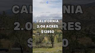 Offgrid 204 Acres for Sale in Tehachapi California for 12950 Taxes are 89 a year shorts fyp [upl. by Abdel]