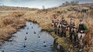 TINY Warm Water Creek Mallards IN OUR FACE What Duck Hunting Dreams Are Made Of [upl. by Anaya]