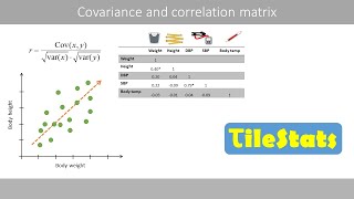 Excel bivariate data analysis  Pearson r and rsquared [upl. by Debi]