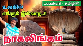 இந்தியாவில் எங்கும் இல்லாத பிரம்மாண்டம்  Mystery Temple In India  Lepakshi Temple In Tamil [upl. by Nosneh812]