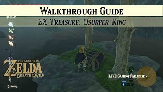 Breath of the Wild  EX Treasure Usurper King DLC 2 Side Mission [upl. by Gadmon]