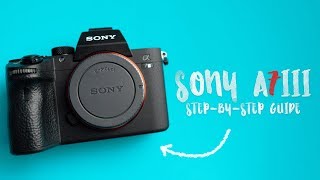 BEST Settings for the SONY A7III  A StepbyStep Guide [upl. by Eecyac548]