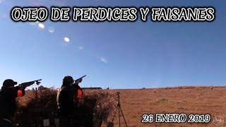 OJEO DE PERDICES Y FAISANES en GUADALCÁZAR 2019 HUNTING [upl. by Norse930]