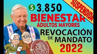 PENSIÓN DEL BIENESTAR 2022 se suspenderá por REVOCACIÓN DE MANDATO para AMLO [upl. by Alleuqcaj]