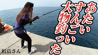 初めて堤防へ釣りに行ったら凄い大きな魚がきてあたしどうしよう（746話目） [upl. by Wassyngton]