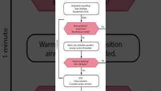 Initial Steps for NRP 8th Edition [upl. by Crosby]