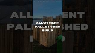 Building an Allotment Shed with Free Pallets  DIY StepbyStep [upl. by Ariaek340]