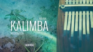 Beautiful Kalimba Meditation 3 HOURS remastered Calm Whale [upl. by Yllet]