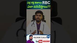 రక్తహీనత  Anaemia in Telugu  RBC function  anaemia rbc redbloodcells health healthtips [upl. by Retsevel292]