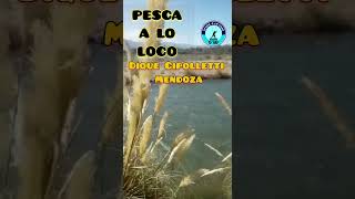 Pesca en el dique Cipolletti Mendoza [upl. by Wollis]