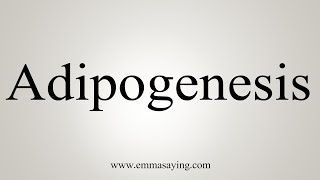 How To Say Adipogenesis [upl. by Raviv]