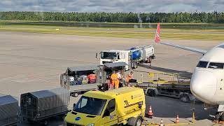 wie man Koffer im Flugzeug verlädt how to load suitcases on a plane airport loading flughafen [upl. by Deidre]