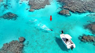 Great Barrier Reef Fishing in 1 foot of water [upl. by Ilahtan]