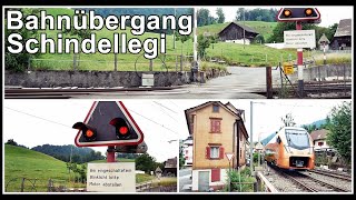 Kleiner Bahnübergang beim Bahnhof Schindellegi Kanton Schwyz Schweiz 2019 [upl. by Cirdes]