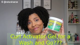 USING CURL ACTIVATOR ON MY TYPE 4 NATURAL HAIR  Long Aid Curl Activator Gel  Demo amp Review [upl. by Jimmy389]