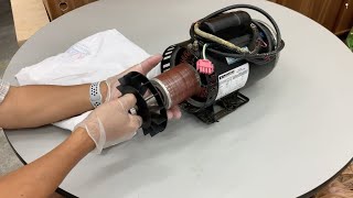 How to Rebuild a Hot Tub Pump Motor [upl. by Ylehsa]