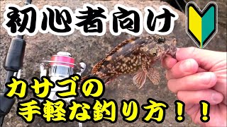 【誰でも簡単】カサゴ（ガシラ）の手軽な釣り方を紹介します！！ 堤防や漁港からの根魚の穴釣りは非常に簡単ですので、釣り入門者の方にもおすすめです！！【ブラクリ】【パワーイソメ】 [upl. by Japheth]