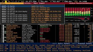 Bloomberg Terminal Part 1  Quick Introduction to Basic Functions [upl. by Kcirdes517]