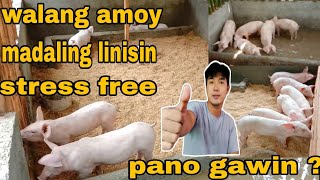 BABUYANG WALANG AMOY PAANO GAWIN [upl. by Pandora511]