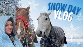 SNOW DAY VLOG amp SNIP UPDATE  LilPetChannel [upl. by Jeni200]