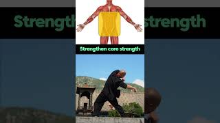 Core Strength Training Enhance Stability and Power traditionalkungfu health martialarts [upl. by Euqinmod]