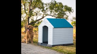 The house for your dog [upl. by Aiciled]