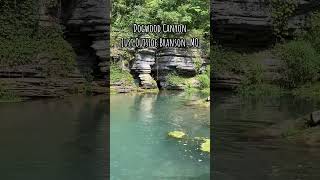 Dogwood Canyon Nature Park is the perfect outdoor activity bransonmo thingstodo hike [upl. by God]