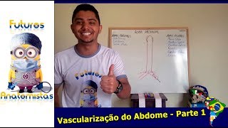 Vascularização do Abdome  PARTE 1  Futuros Anatomistas [upl. by Carlina]