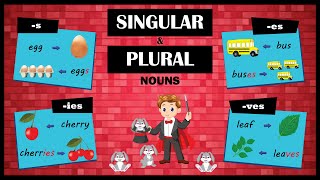 Singular and Plural Nouns  Learn the Rules to Make Plurals [upl. by Ymmaj319]