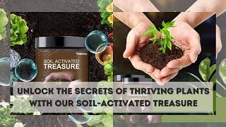 Soil Activated Treasure  Soil Activator Ideal as Potting Soil or Seedling Compost [upl. by Ylime977]