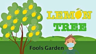 LEMON TREE Animation with Lyrics [upl. by Eibocaj767]