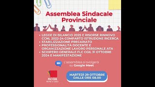 Assemblea Sindacale delle Scuole della Provincia di Roma [upl. by Rahal]