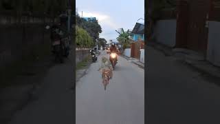 Random Biker Infront Of Me ðŸ¤£ duke250 monkey ktm ktmduke [upl. by Yvor]