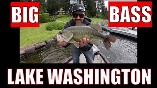 Lake Washington bass fishing [upl. by Dowlen]