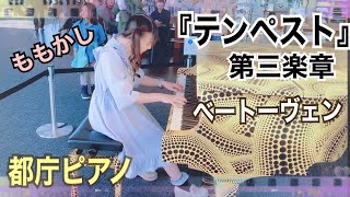 【都庁ピアノ】テンペスト第三楽章【ももかし×ベートーヴェン】 [upl. by Leonie]