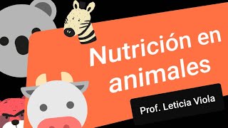 NUTRICIÓN en ANIMALES [upl. by Alamaj202]