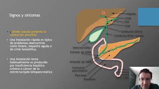 Síndrome Ictérico [upl. by Noicpesnoc]