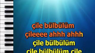 CILE BULBULUM CILE mpg karaoke [upl. by Eibbob396]