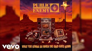 Public Enemy  RIP Blackat Audio [upl. by Hpesoy]