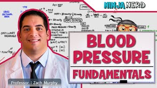 Cardiovascular  Fundamentals of Blood Pressure [upl. by Ela]