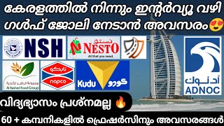 Gulf job vacancy for freshers malayalam 😍  Gulf interviews in kerala  Dubai uae jobs Malayalam [upl. by Jaclin]