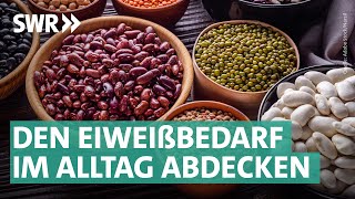 Eiweißbombe Bohnen Kreative Rezepte zum Nachkochen  Marktcheck SWR [upl. by Yendic]