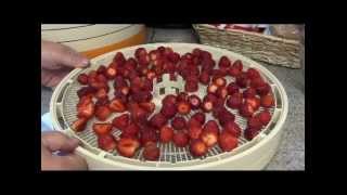 How to dehydrate strawberries [upl. by Ssor]