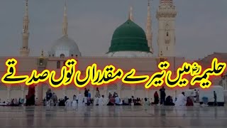 Haleema Main Tere Muqadran Tu Sadqe [upl. by Westbrooke]