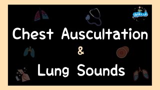 Chest auscultation amp Lung sounds OSCE guide عربي [upl. by Ednargel]