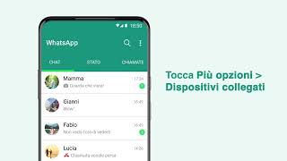 Come usare WhatsApp sul computer [upl. by Ahselaf535]