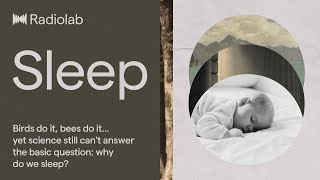 Sleep  Radiolab Podcast [upl. by Barnabe]