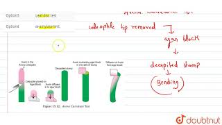 Bioassay of IAA is [upl. by Redmond758]